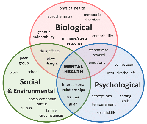 Biopsychosocial Assessment